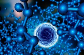 生物醫(yī)學(xué)翻譯